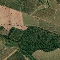 Anhembi map(satellite map)