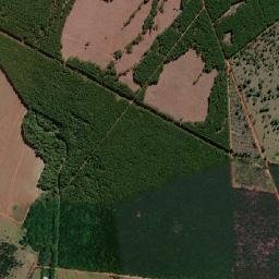Águas de Santa Bárbara map(satellite map)