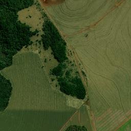 Aral Moreira map(satellite map)