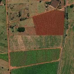 Cruzeiro do Sul map(satellite map)