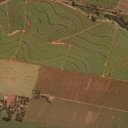 Miraselva map(satellite map)