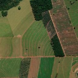 Alto Paraná map(satellite map)