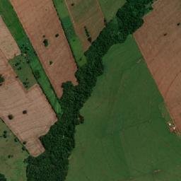 Flórida map(satellite map)