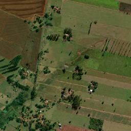 Santa Cruz de Monte Castelo map(satellite map)