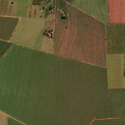 Santa Mônica map(satellite map)