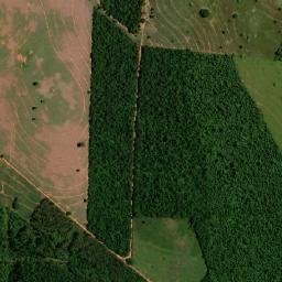 Douradina map(satellite map)