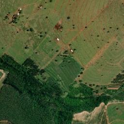 Rondon map(satellite map)