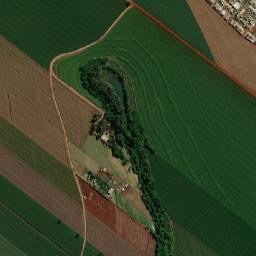 Floresta map(satellite map)