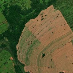 Japorã map(satellite map)