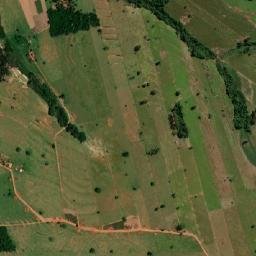 Pérola map(satellite map)