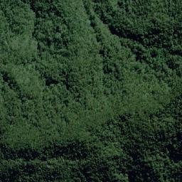 Santos map(satellite map)