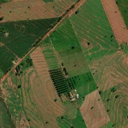 Altônia map(satellite map)