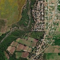 Palma Sola map(satellite map)