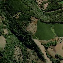 Curiúva map(satellite map)