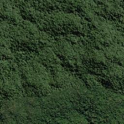 Tapiraí map(satellite map)