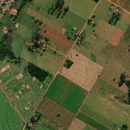 Moreira Sales map(satellite map)