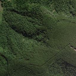 Arapoti map(satellite map)