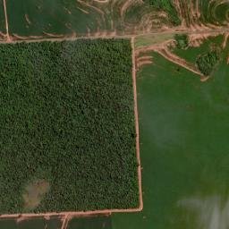 Brasilândia do Sul map(satellite map)