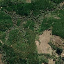 Nova Campina map(satellite map)