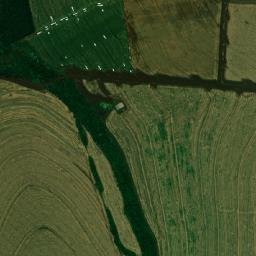 Cafelândia map(satellite map)