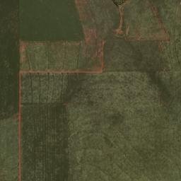 Entre Rios do Oeste map(satellite map)