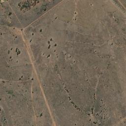 Banana map(satellite map)