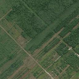Ilha Comprida map(satellite map)