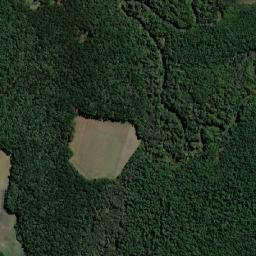 Ipiranga map(satellite map)