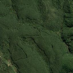 Bocaiúva do Sul map(satellite map)