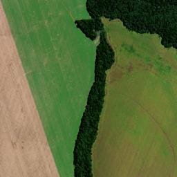 Teixeira Soares map(satellite map)