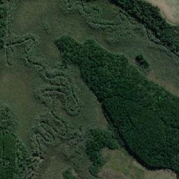 Fernandes Pinheiro map(satellite map)