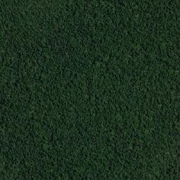 Serranópolis do Iguaçu map(satellite map)