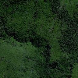 Rio Bonito do Iguaçu map(satellite map)