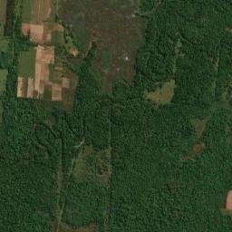 Colonia Mauricio José Troche map(satellite map)