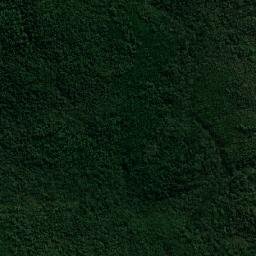 Inácio Martins map(satellite map)