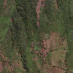 Lomashasha map(satellite map)