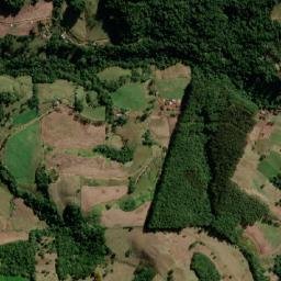 Flor da Serra do Sul map(satellite map)