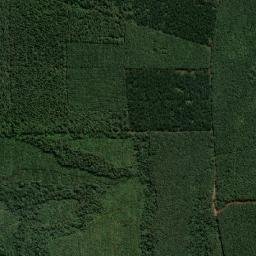 Departamento de Eldorado map(satellite map)