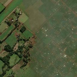 Colonia Carlos Antonio López map(satellite map)