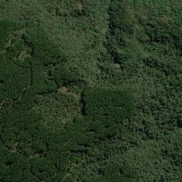 Bela Vista do Toldo map(satellite map)