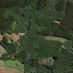 Papanduva map(satellite map)
