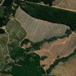 Bhunya map(satellite map)