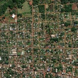 Montecarlo map(satellite map)