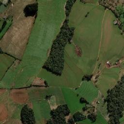 São Domingos map(satellite map)