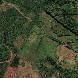 San Vicente map(satellite map)