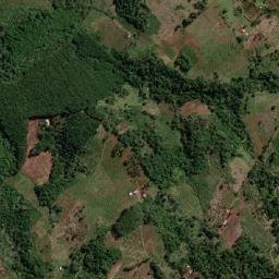 Departamento de San Pedro map(satellite map)