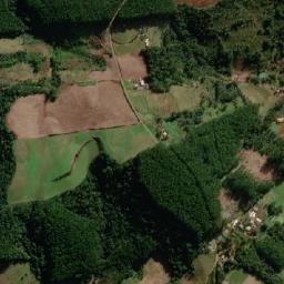 Sul Brasil map(satellite map)