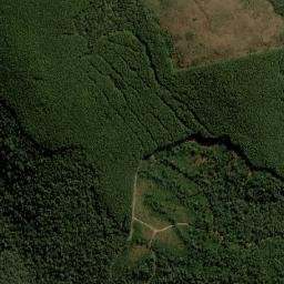Passos Maia map(satellite map)