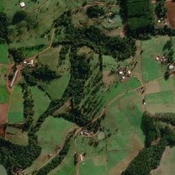 Jardinópolis map(satellite map)