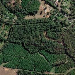 Peachester map(satellite map)
